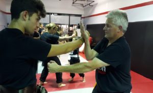 technique de kungfu