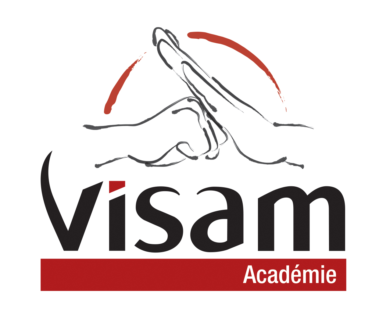 Programmes de Visam Academie Arts Martiaux